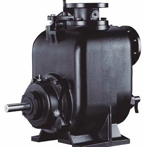 Bơm nước thải đặt cạn WP